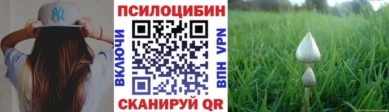 Галлюциногенные грибы Cubensis Купить закладки Малаховка